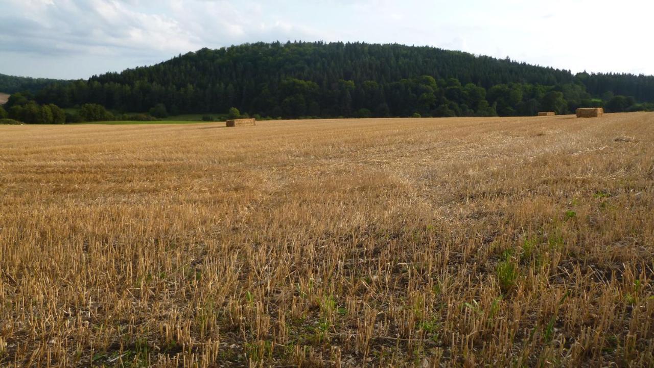 Ferienhaus Unteres Hart Gomadingen Exterior foto